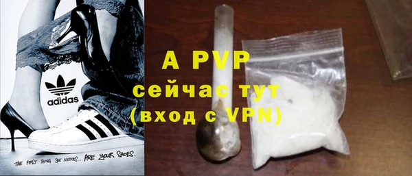 МДПВ Бородино