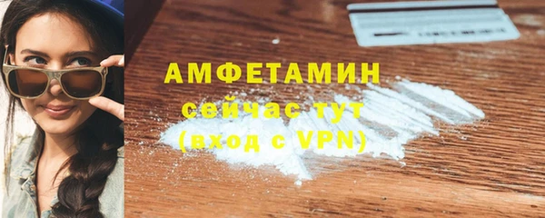 МДПВ Бородино