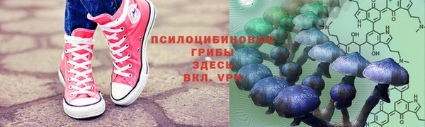 мяу мяу мука Богданович
