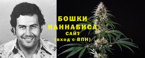 Альфа ПВП Белокуриха