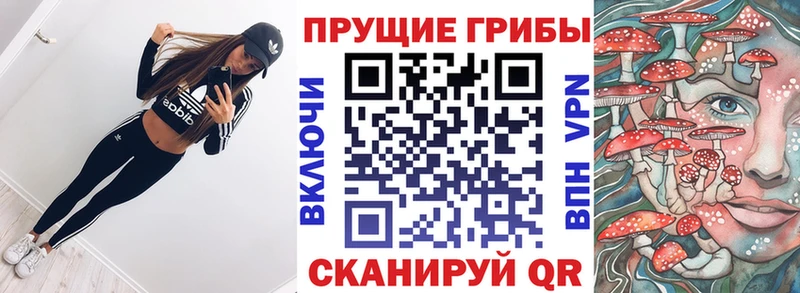 MEGA онион  Железногорск-Илимский  Галлюциногенные грибы Psilocybine cubensis  дарнет шоп 